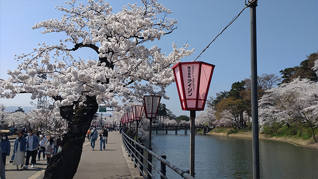 高田城址公園観桜会