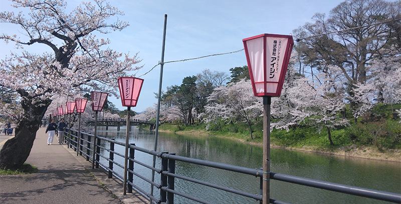 観桜会