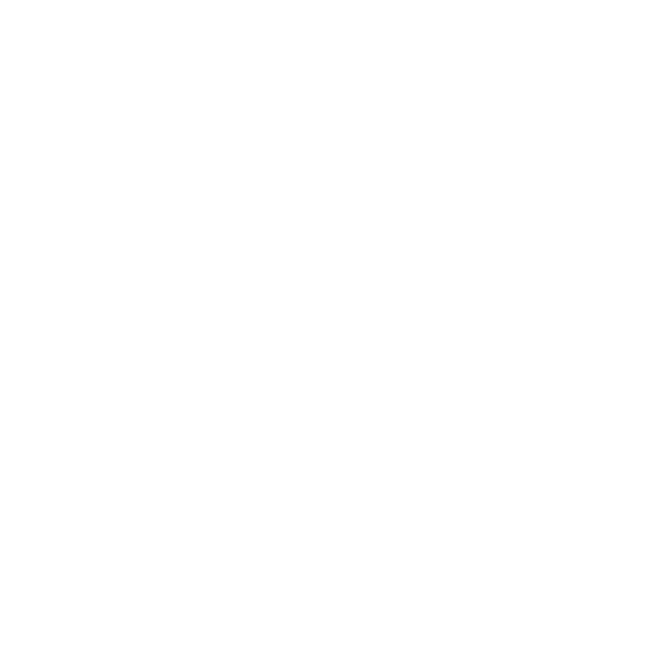 数字で見るアイシングループ